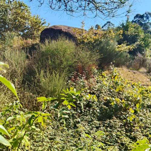 Moradia T3 para restaurar com terreno em Seidões, Fafe