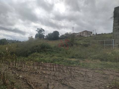 Quinta com 33.206 m² em Casais, Lousada