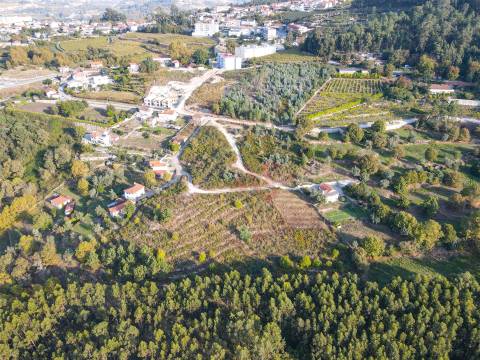 Terreno Rústico com 8.250 m² em Travanca, Amarante