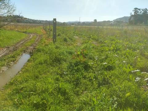 Terrenos Rústicos com 13.759 m² em Nevogilde, Lousada