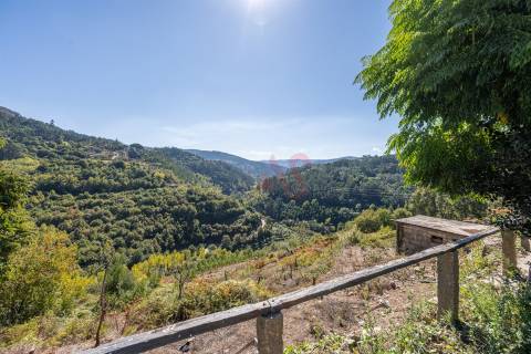 Quinta T3 em Souselo, Cinfães – Charme, Natureza e Tranquilidade!