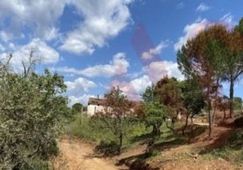 Herdade