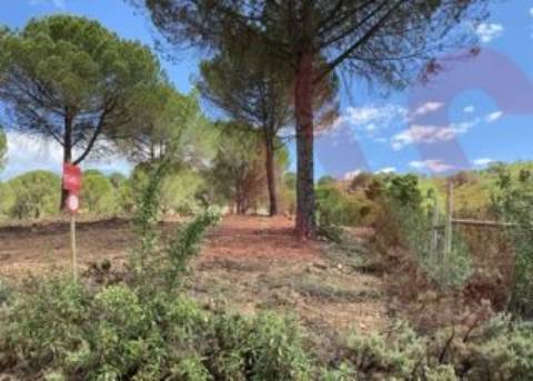 Herdade