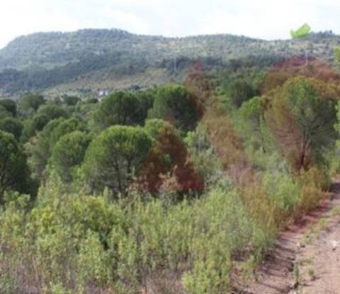 Herdade