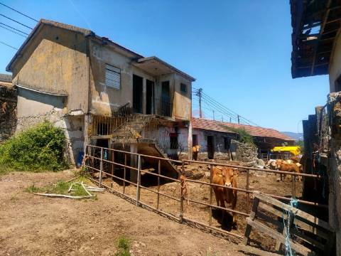 Quinta com 19000m2 dos quais 2000m2 Urbanizáveis, Composta por Moradia, Moinho e mais 5 em Lousada