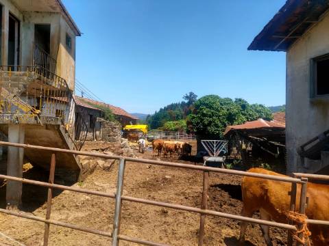 Quinta com 19000m2 dos quais 2000m2 Urbanizáveis, Composta por Moradia, Moinho e mais 5 em Lousada