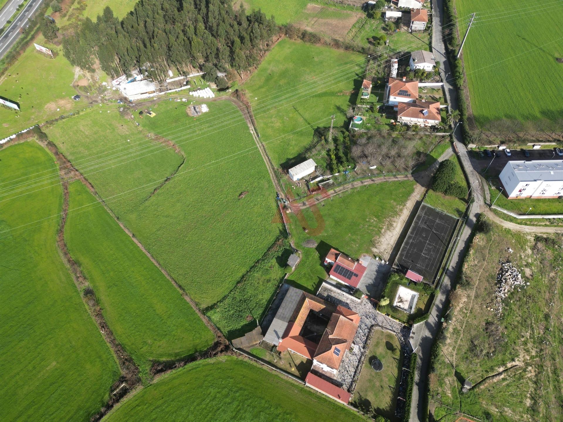 Terreno com  25.000 m² em Palmeira, Santo Tirso