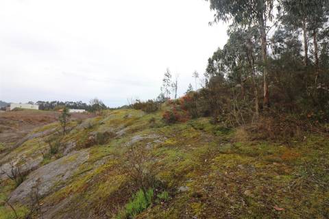 Moradia T4 para Restauro em Croca, Penafiel – Excelente Oportunidade de Investimento