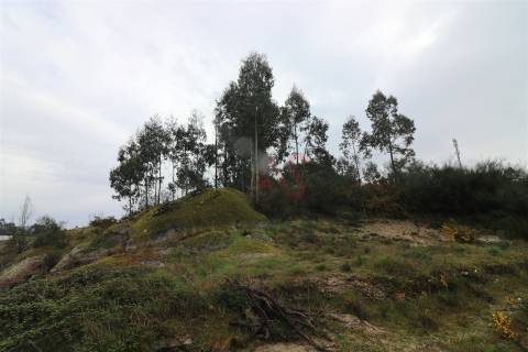Moradia T4 para Restauro em Croca, Penafiel – Excelente Oportunidade de Investimento