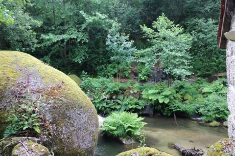 Moinho Transformado em T0 junto ao Rio – Refúgio na Natureza