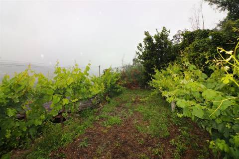 Moradia T3 em Pedra para Reconstrução | Fareja, Fafe