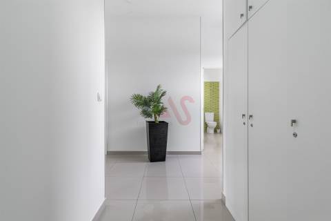 Moradia T3 em Sobrosa com Piscina e Espaço Comercial