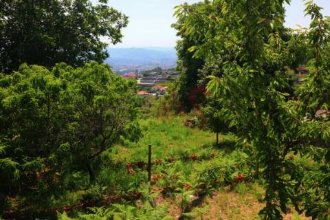 Terreno para Construção com PIP Aprovado em Airão, Guimarães – Projeto para Moradia V3