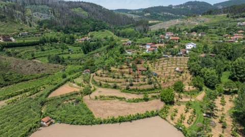 Terreno com 5.000 m² com Potêncial De Construção