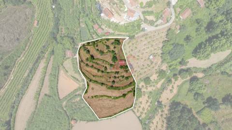 Terreno com 5.000 m² com Potêncial De Construção
