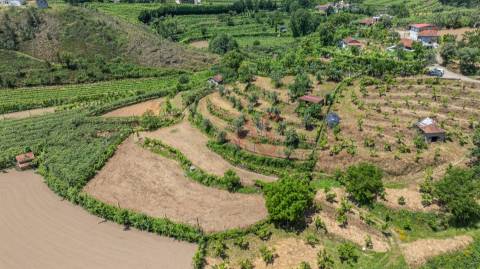 Terreno com 5.000 m² com Potêncial De Construção