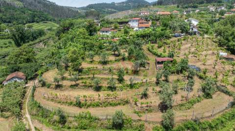 Moradia T2 para Restauro com Terrenos Adjacentes com Cerca de 5.000 m²