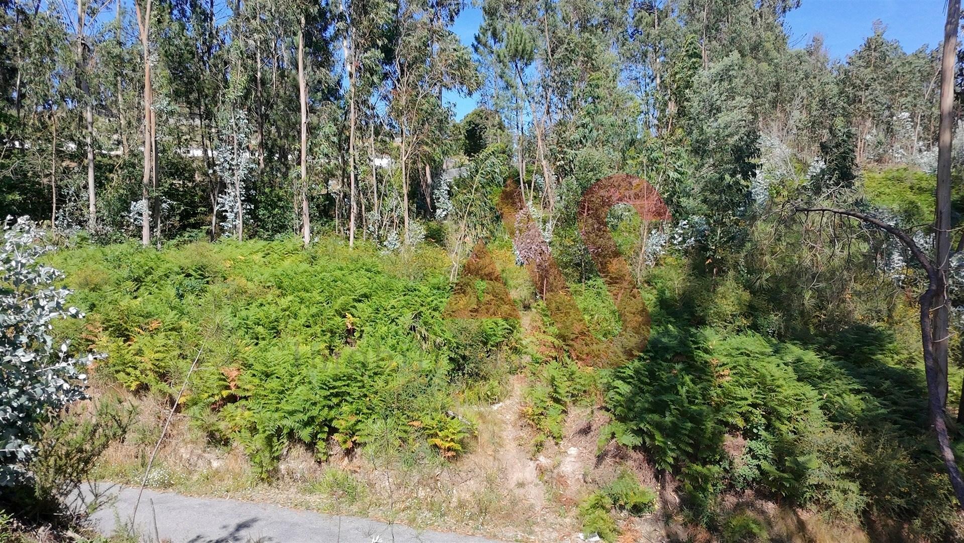 Terreno com 1600m2 para construção em Silvares, Lousada