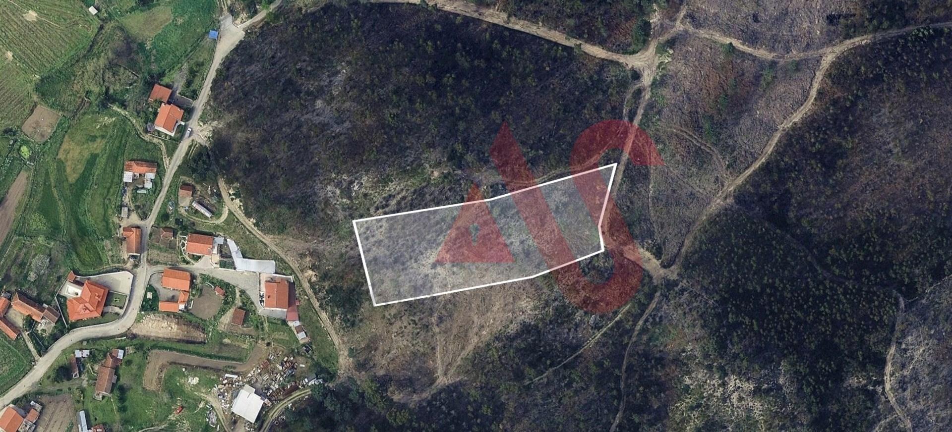 Terreno Florestal com 4800m2 em Silvares, Lousada