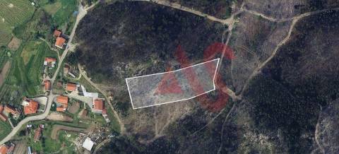 Terreno Florestal com 4800m2 em Silvares, Lousada