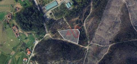 Terreno Florestal com 3300m2 em Silvares, Lousada