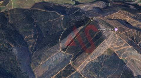 Terreno Florestal com 80.000m2 em Silvares, Lousada