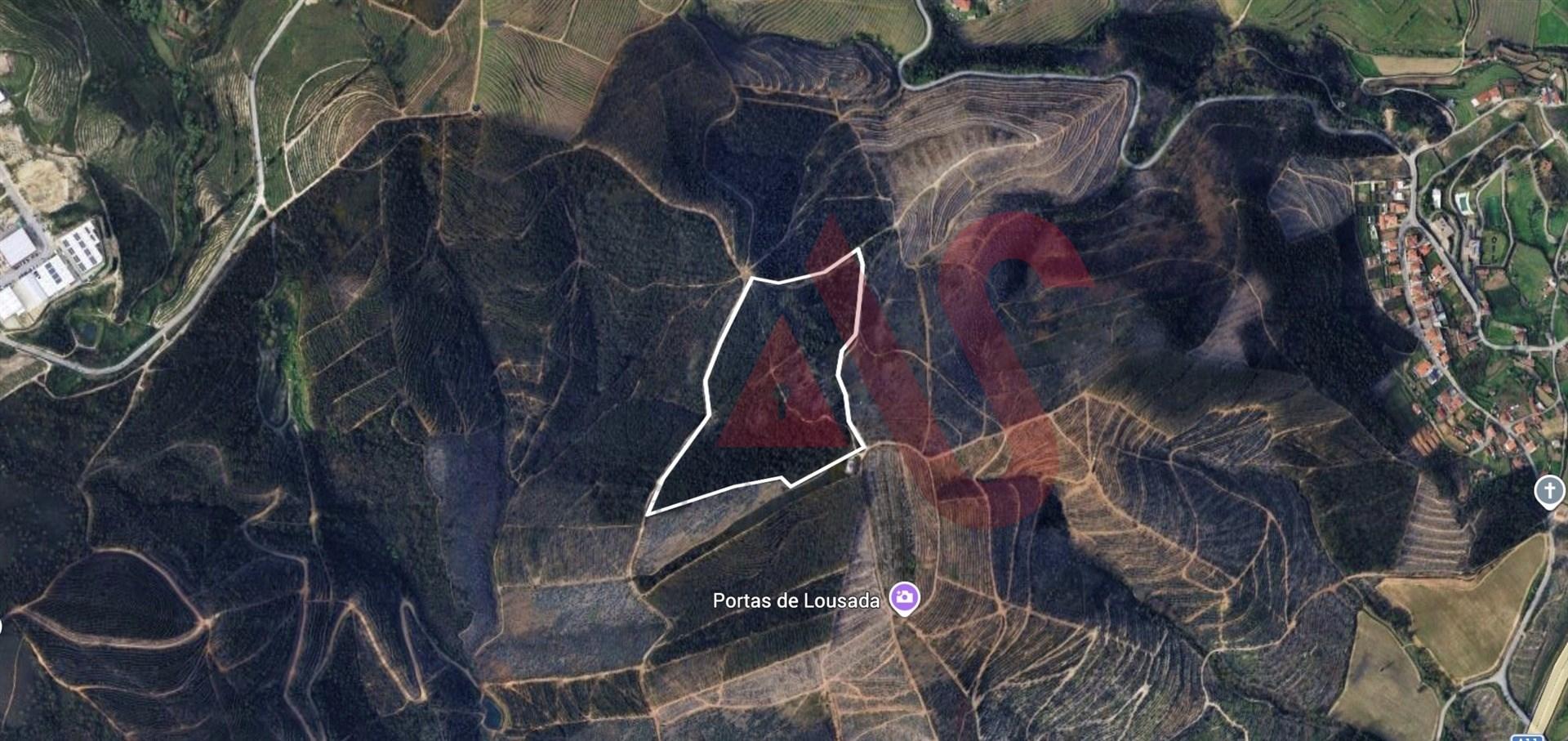 Terreno Florestal com 80.000m2 em Silvares, Lousada