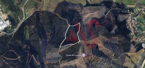 Terreno Florestal com 80.000m2 em Silvares, Lousada