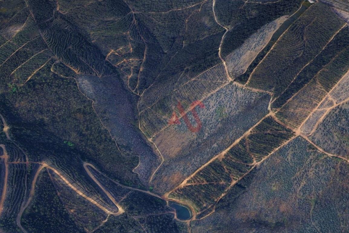 Terreno Florestal com 20.000m2 em Silvares, Lousada