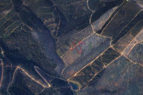 Terreno Florestal com 20.000m2 em Silvares, Lousada