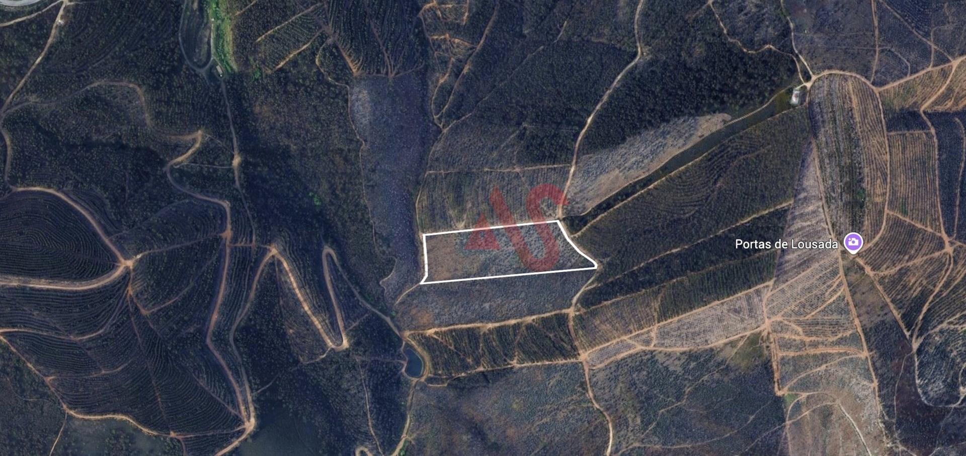 Terreno Florestal com 20.000m2 em Silvares, Lousada