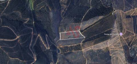 Terreno Florestal com 20.000m2 em Silvares, Lousada