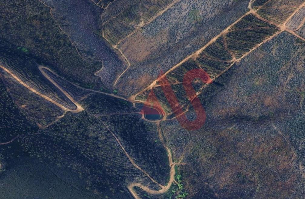 Terreno Florestal com 2300m2 em Silvares, Lousada