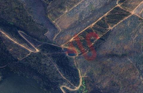 Terreno Florestal com 2300m2 em Silvares, Lousada