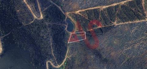 Terreno Florestal com 2300m2 em Silvares, Lousada