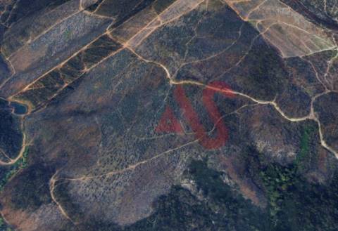 Terreno Florestal com 9400m2 em Silvares, Lousada