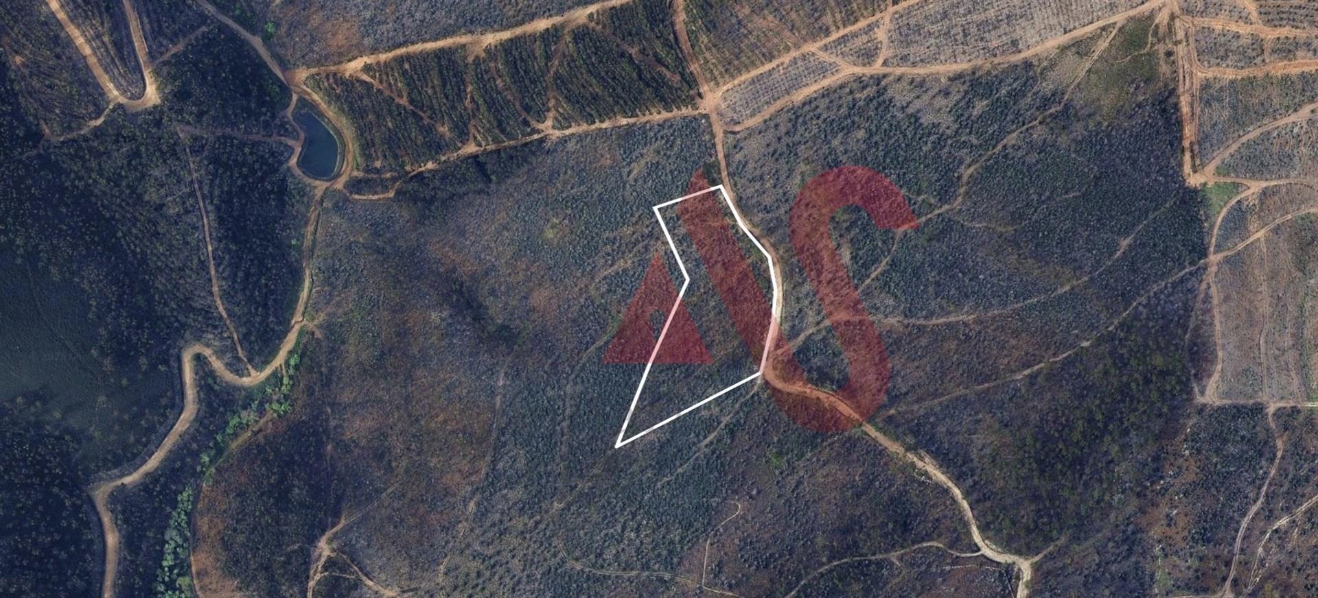 Terreno Florestal com 9400m2 em Silvares, Lousada