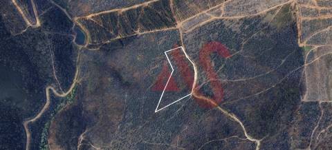 Terreno Florestal com 9400m2 em Silvares, Lousada