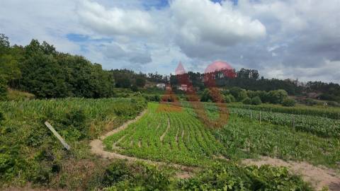 Terreno Agrícola com 2290m2 em Silvares, Lousada
