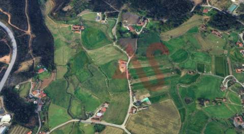Terreno Agrícola com 2290m2 em Silvares, Lousada