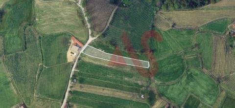 Terreno Agrícola com 2290m2 em Silvares, Lousada