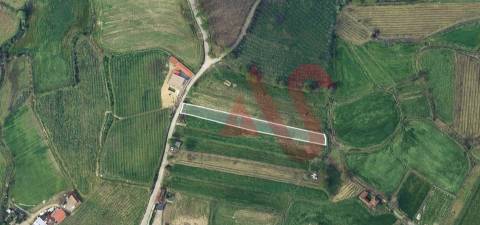 Terreno Agrícola com 2290m2 em Silvares, Lousada