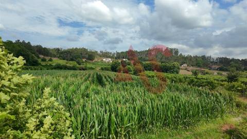 Terreno Agrícola com 2290m2 em Silvares, Lousada