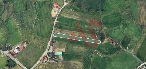 Terreno Agrícola com 2230m2 em Silvares, Lousada