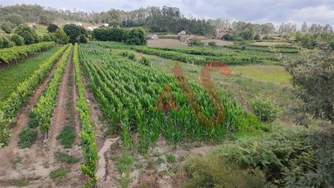 Terreno Agrícola com 2230m2 em Silvares, Lousada