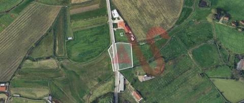Terreno Agrícola com 2460m2 em Silvares, Lousada