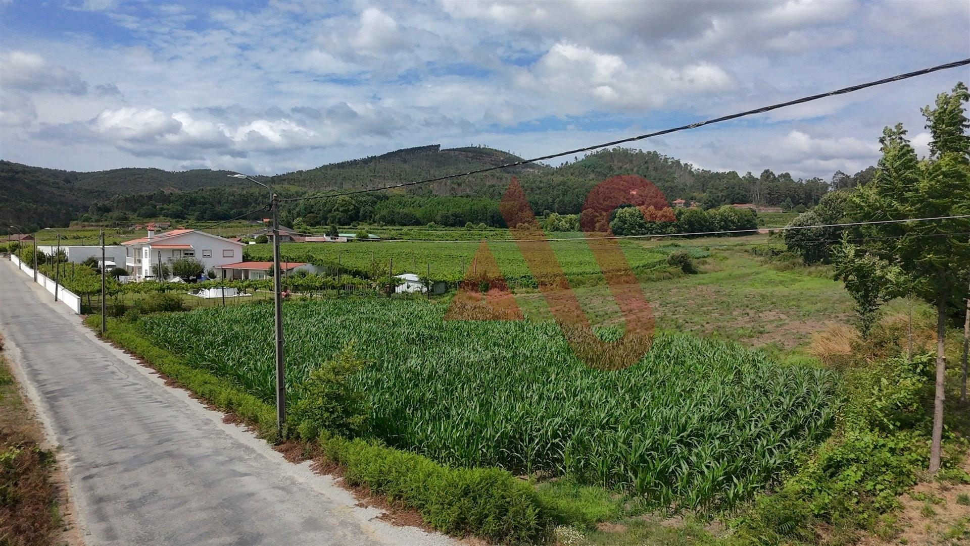 Terreno Agrícola com 2460m2 em Silvares, Lousada
