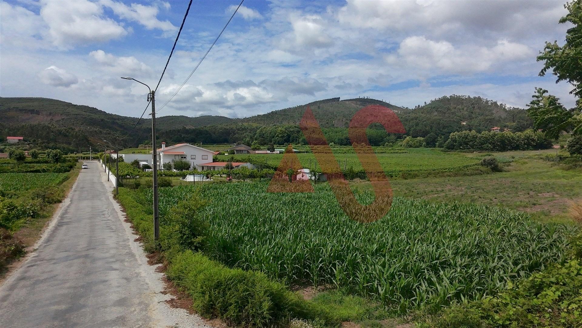 Terreno Agrícola com 2460m2 em Silvares, Lousada