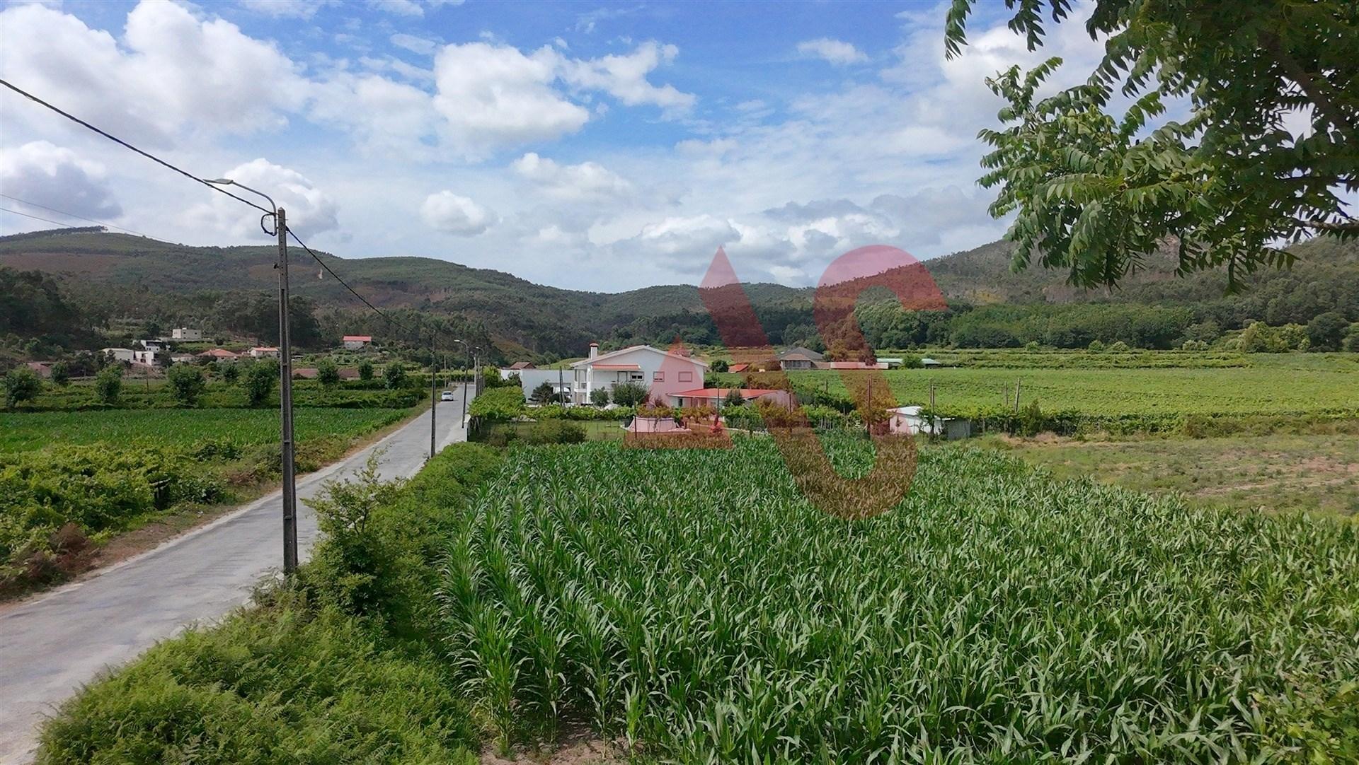 Terreno Agrícola com 2460m2 em Silvares, Lousada