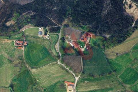 Terreno Agrícola com 2400m2 em Silvares, Lousada